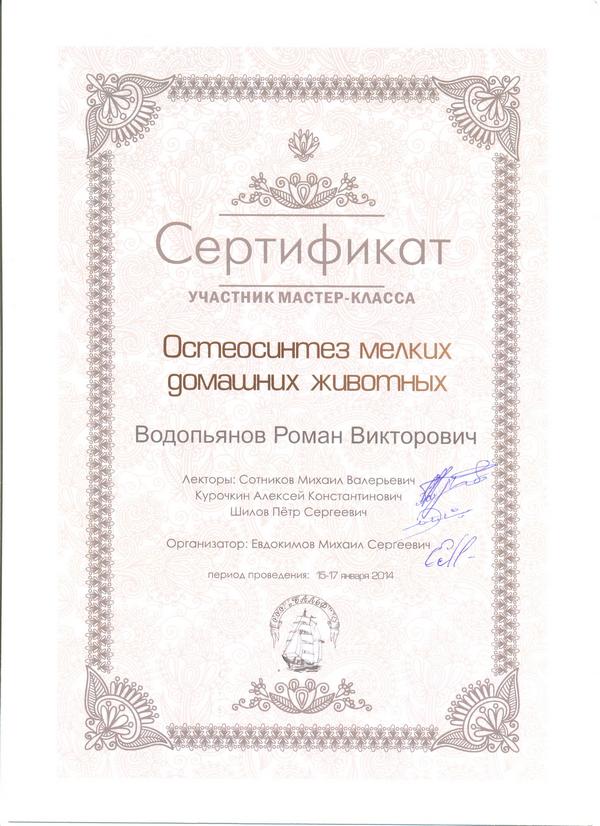 Сертификат о участии в мастер-классе ведущих ветеринарных ортопедов России