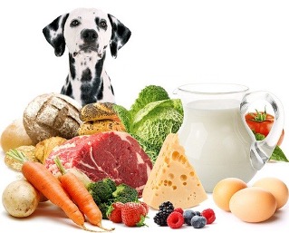 Ветеринарная диета 